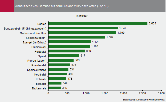 Abbildung: Anbaufläche von Gemüse auf dem Freiland 2015 nach Arten (Top 15)